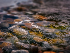 water, stream, pebbles 10 (widget)